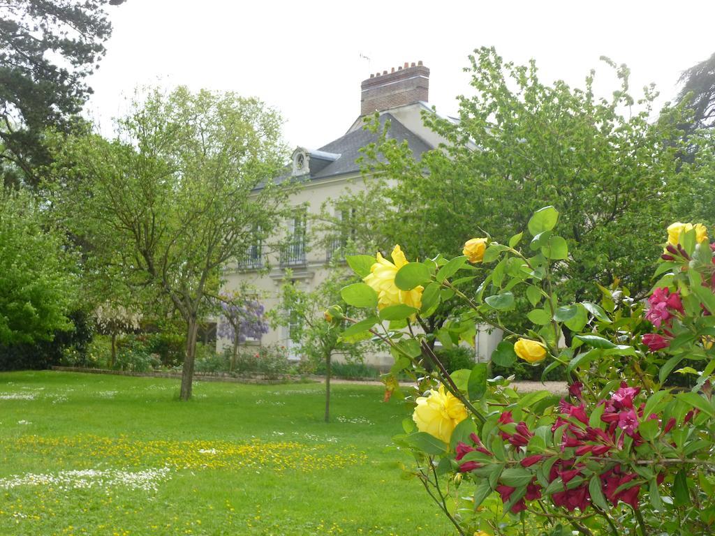 Cedre Et Charme Panzió Saint-Branchs Kültér fotó