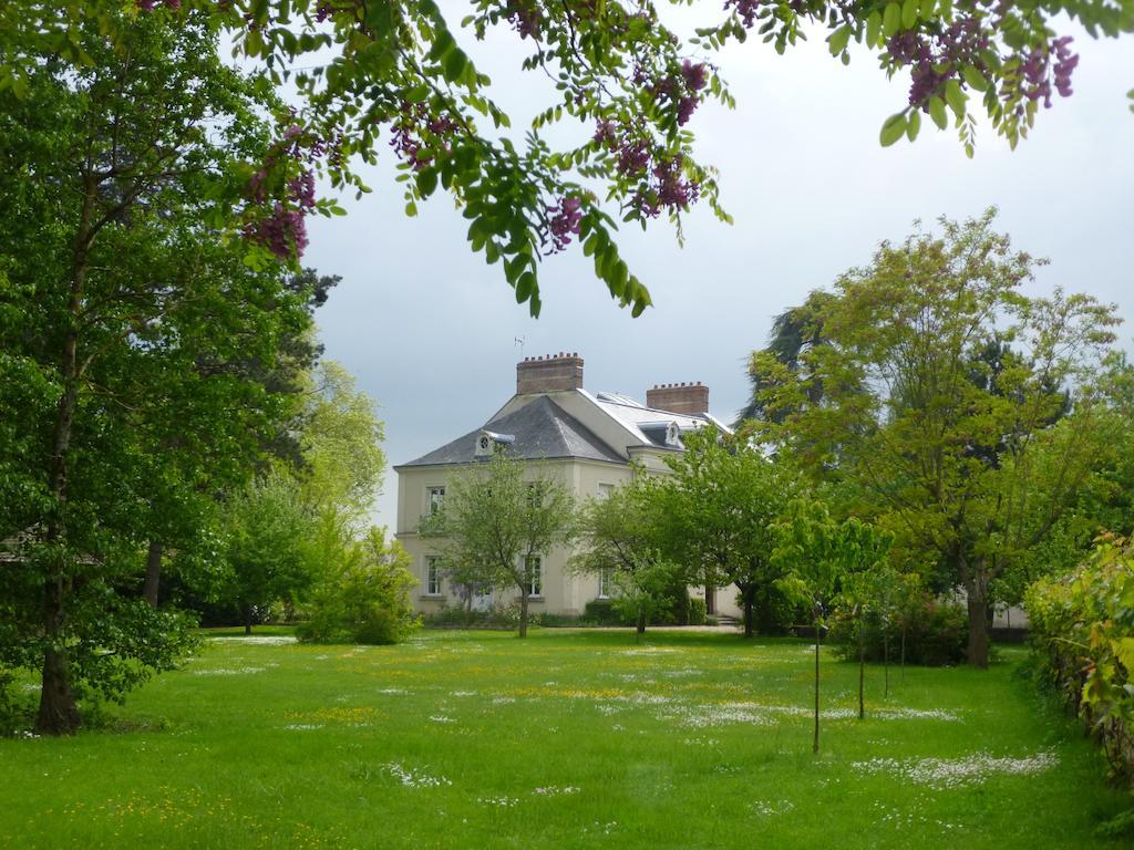 Cedre Et Charme Panzió Saint-Branchs Kültér fotó