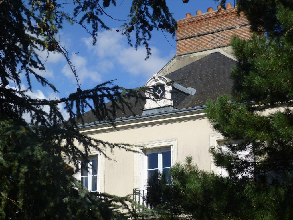 Cedre Et Charme Panzió Saint-Branchs Kültér fotó